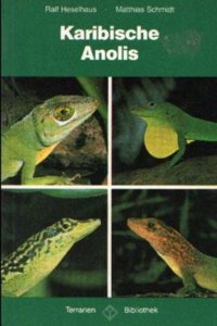 Karibische Anolis