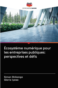 Écosystème numérique pour les entreprises publiques