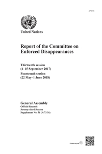 Report of the Committee on Enforced Disappearances