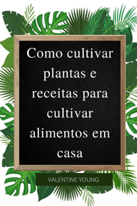 Como cultivar plantas e receitas para cultivar alimentos em casa