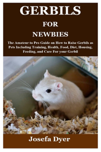 Gerbils for Newbies