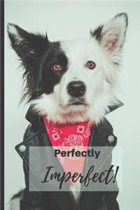 Perfectly Imperfect!