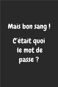 Mais bon sang ! C'était quoi le mot de passe ?
