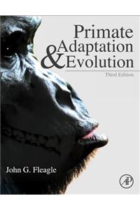 Primate Adaptation and Evolution