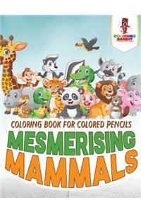 Mesmerising Mammals