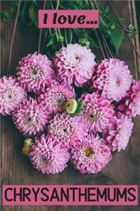 I Love Chrysanthemums