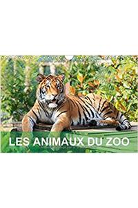 Les Animaux du Zoo 2017