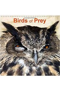 Birds of Prey 2017