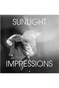 Sunlight Impressions 2018