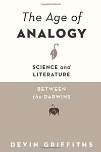 Age of Analogy