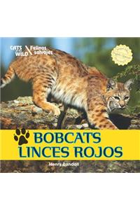 Bobcats / Linces Rojos