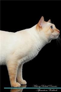 Mekong Bobtail Affirmations Workbook Mekong Bobtail Presents