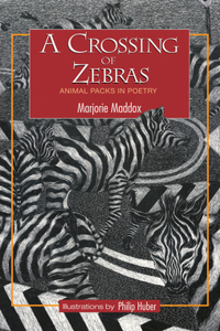 Crossing of Zebras