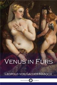 Venus in Furs