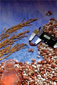 Food Journal Beans Wheat Healthy Weight Loss Diet Blank Recipe Book