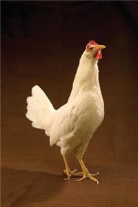 Farm Journal White Leghorn Chicken Standing