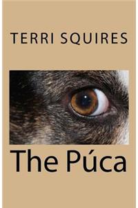 The Púca