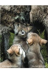 Wolves of Wolf Park Fiona, Aspen, Máni & Sparrow Notebook