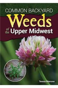 Common Backyard Weeds of the Upper Midwest