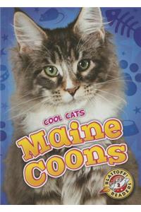 Maine Coons