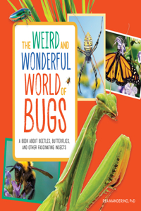 The Weird and Wonderful World of Bugs