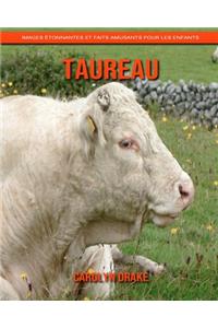 Taureau