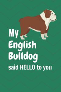 My English Bulldog said HELLO to you