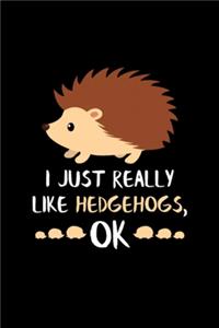 Hedgehog Gifts Hedgehogs Owner Lover Gift Hedgehog