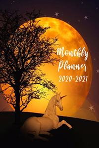 Monthly Planner 2020-2021