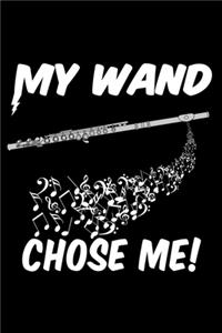 My Wand Chose Me