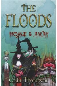 Floods 3: Home And Away