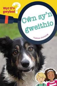 Cyfres Wyt Ti'n Gwybod?: Cwn Sy'n Gweithio