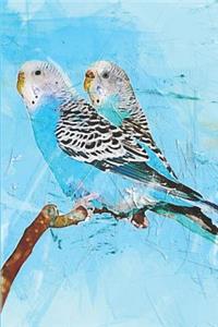 Parakeet Journal