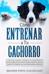 Cómo entrenar a tu cachorro