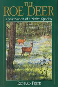 Roe Deer