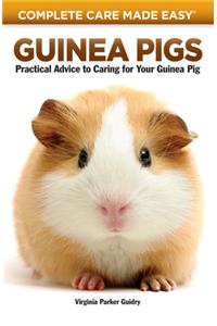 Guinea Pigs