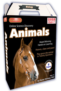 Online Discovery Animals