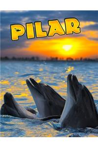 Pilar