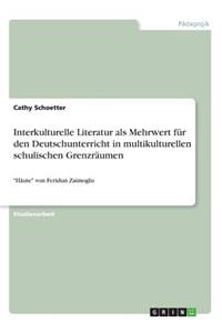 Interkulturelle Literatur als Mehrwert für den Deutschunterricht in multikulturellen schulischen Grenzräumen: "Häute" von Feridun Zaimoglu