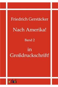 Nach Amerika!