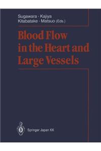 Blood Flow in the Heart and Large Vessels