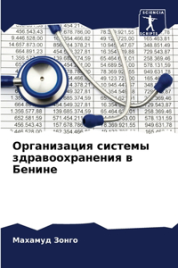 Организация системы здравоохранения в Б