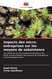 Impacts des micro-entreprises sur les moyens de subsistance