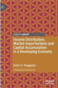 Income Distribution, Market Imperfections and Capital Accumulation in a Developing Economy