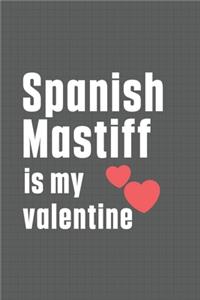 Spanish Mastiff is my valentine