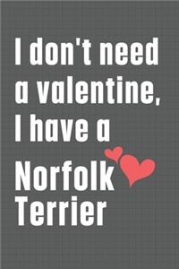 I don't need a valentine, I have a Norfolk Terrier