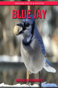 Blue Jay