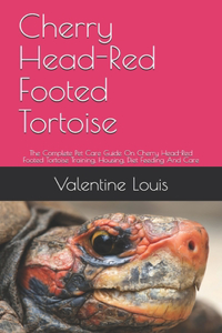 Cherry Head-Red Footed Tortoise