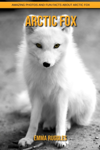 Arctic Fox