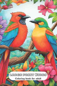 Large Print Birds Coloring Book For Adult